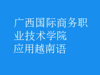 應(yīng)用越南語(yǔ)