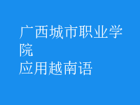 應(yīng)用越南語(yǔ)