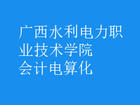 會(huì)計(jì)電算化