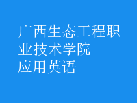 應(yīng)用英語(yǔ)