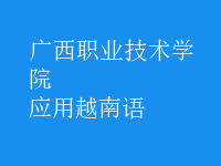 應(yīng)用越南語(yǔ)