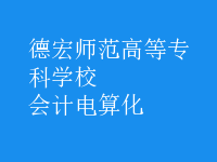 會計電算化
