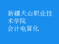 會計電算化