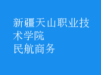 民航商務