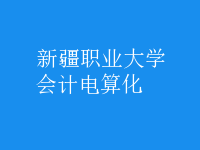 會計電算化