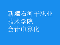 會計電算化