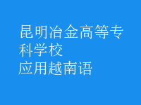 應(yīng)用越南語(yǔ)