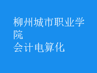 會(huì)計(jì)電算化