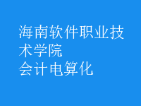 會計(jì)電算化