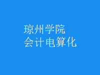會計(jì)電算化