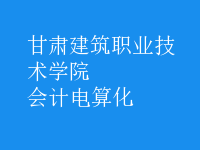 會計電算化