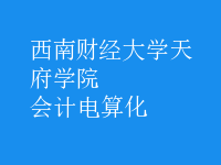 會計電算化