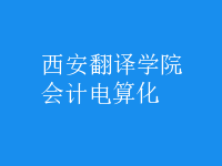 會(huì)計(jì)電算化