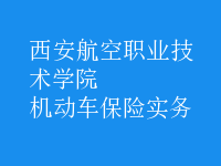 機動車保險實務(wù)