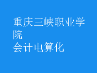 會計電算化