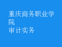 審計實務