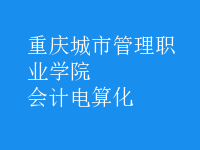會計電算化