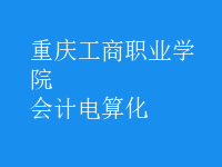 會計電算化