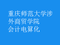 會計電算化