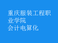 會計電算化