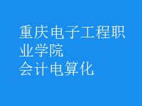 會計電算化