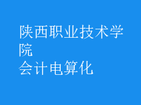 會(huì)計(jì)電算化