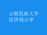 經(jīng)濟(jì)統(tǒng)計(jì)學(xué)