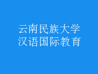 漢語(yǔ)國(guó)際教育