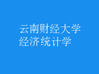 經(jīng)濟(jì)統(tǒng)計(jì)學(xué)