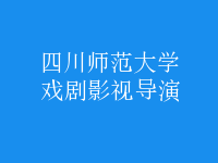 戲劇影視導演