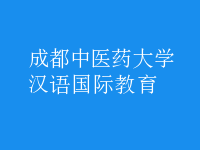 漢語(yǔ)國(guó)際教育