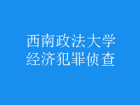 經(jīng)濟犯罪偵查