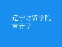 審計(jì)學(xué)