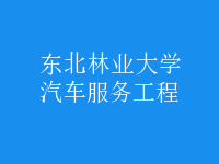 汽車服務(wù)工程