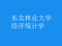 經(jīng)濟(jì)統(tǒng)計(jì)學(xué)