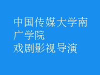 戲劇影視導演